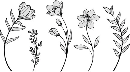 Minimal Botanical graphic sketch drawing, trendy tiny tattoo design, floral elements minimalist black and white vector illustration of five elegant botanical sketches.
