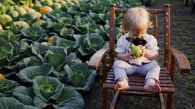 Blonde toddler girl sitting on wooden chair in cabbage patch, gently cuddling black and white bunny while holding fresh pear, embodying childhood innocence and natural connection