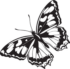 butterfly vector illustration