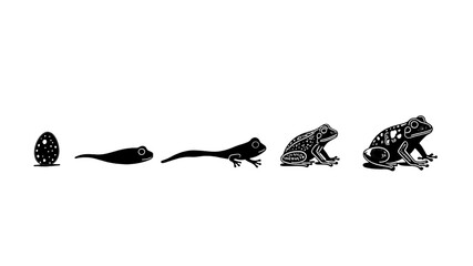 frog growth silhouette with white background