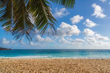 Sandy beach, blue sky with clouds and blue ocean with some palm leaves on the Island of Mahe. The Seychelles