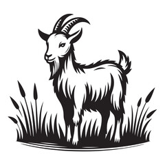 horned goat on the grass vector image