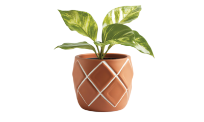 Terracotta clay pot, geometric planter isolated on transparent or white background, clipping path ,png 