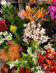 Flower shop. Funchal. Madeira. Portugal.