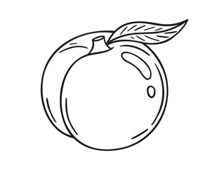 peach icon doodle hand drawn. Outline peach line drawing clipart symbol