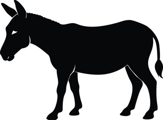 Fototapeta premium silhouette of a horse