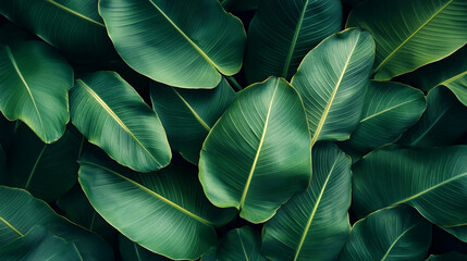 green leaf background