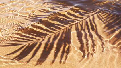 Golden Palm Shadow dances on Rippling Water & Sand: Abstract Sunlight Texture. Tropical Summer Vacation Serenity, an Underwater Mood Background for tranquil design