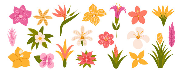 Tropical flowers. Exotic flowers hibiscus, plumeria, bird of paradise, heliconia. Vector illustration.