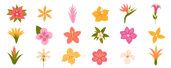 Tropical flowers. Exotic flowers hibiscus, plumeria, bird of paradise, orchid, heliconia and frangipani. Vector illustration. © Tetiana