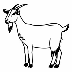 goat on white background