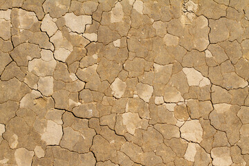 Dry cracked earth