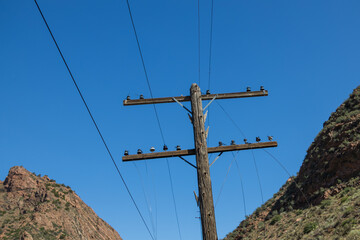 Old wooden telephone pole