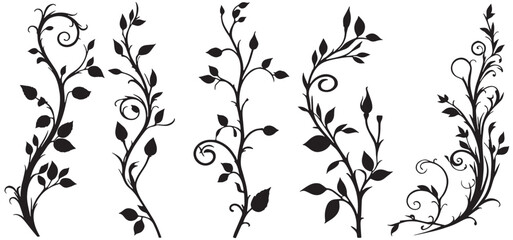 silhouette of a branch with rosebuds and leaves isolated on a white background. Floral vintage decorative element. vector illustration