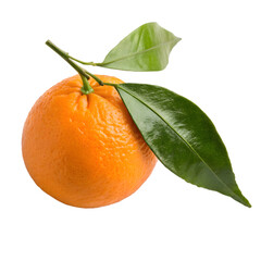 Fresh orange with leaves isolated on transparent background