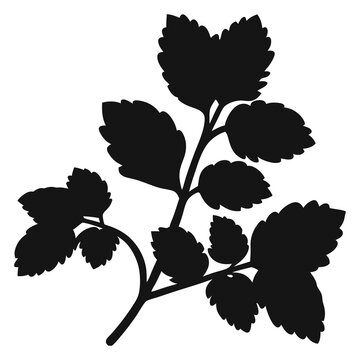 Black silhouette of a plant branch with leaves for design and decoration vector illustration 100x100