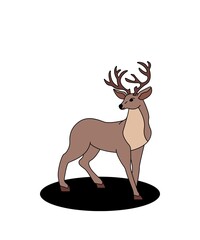 deer vector illustration