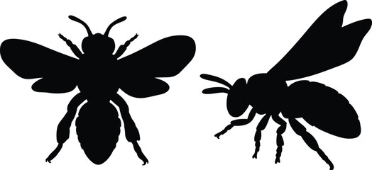 Bee Silhouette Vector Clipart – Flying Insect Black Outline SVG & PNG, Black & White Clipart, Honeybee Outline Art, bee isolated on white background, eps10.