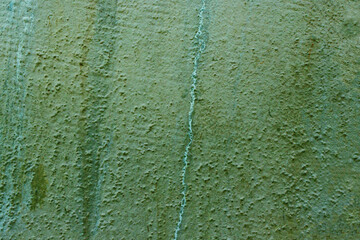 The surface of an old, moldy wall.