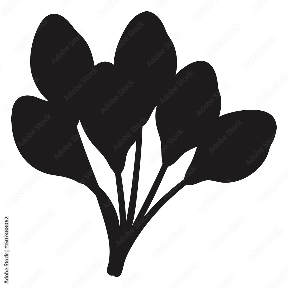 Poster dark floral silhouette on transparent background a variety of leaf shapes and sizes combined to crea
