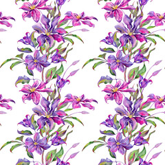 Fototapeta premium Flowers and buds of clematis, flowering branch and leaves are multi-colored, graceful. Seamless pattern, border. Hand-drawn with watercolor. For wedding, tablecloth, textile and wallpaper