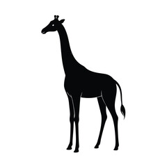 Giraffe Silhouette Standing Tall on White Background