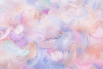 Fototapeta premium Colorful feather background, top view.