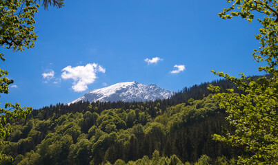 Obraz premium Landscape in the Alps in springtime with a blue sky