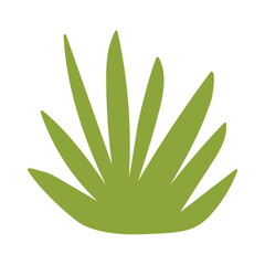 Fragments of green grass. A set of isolated bundles of grass.