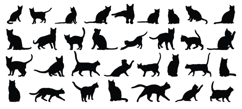 cat silhouette set. cat or kitty isolated farm animal silhouette icon vector collection