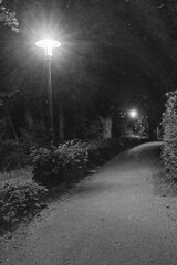 Winding path illuminated by street lamps at night