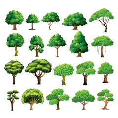 Fototapeta premium collection of trees