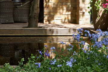 View of blue creeping phlox flowers in a spring garden