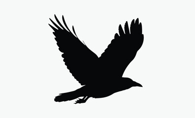 Flying Crow Silhouette Vector