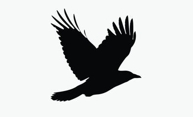 Flying Crow Silhouette Vector