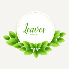 Fresh Green Leaves Circle Frame Background – Natural Botanical Template for Eco Designs