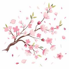 cherry blossom background