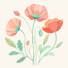vector illustration of poppy flowers