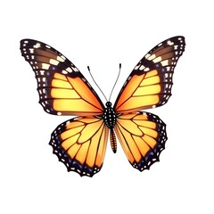 Fototapeta premium Butterfly flying isolated on transparent background high quality stock image
