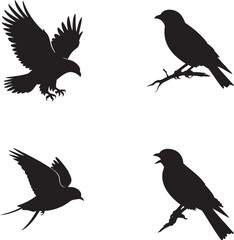Fototapeta premium Birds silhouette set vector illustration isolated On Transparent Background