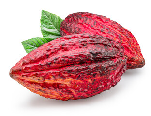Cocoa fruits or cocoa pods and green leaves isolated on white background. Clipping path.