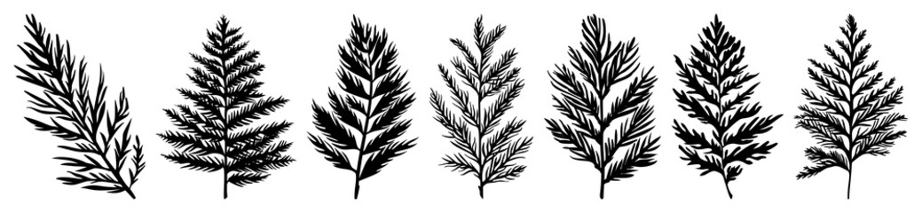 Naklejka premium PNG Silhouetted botanical leaf illustrations, element set on transparent background