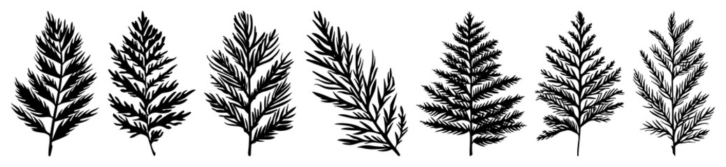 PNG Vintage botanical leaf illustrations, element set on transparent background