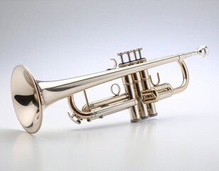 Obraz premium music tool on white