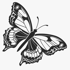 Black Silhouette Butterfly Template