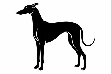 Black Silhouette Of Medium Sized Hound