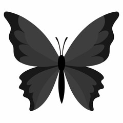 Butterfly Wings Spread Vector