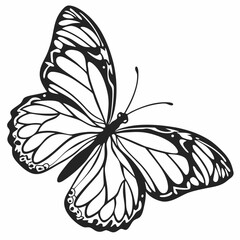 Butterfly Wings Silhouette Clipart