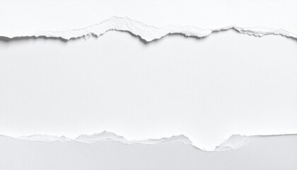 torn paper background