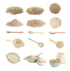 Rye bran and grains isolated on white, collage